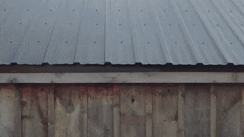 Betakit GIF