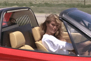 Christie Brinkley GIF
