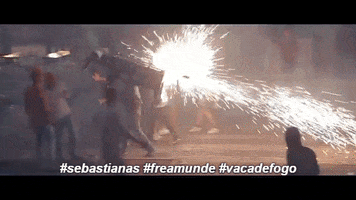 sebastianas freamunde sebastianas vaca de fogo olhaavaca GIF