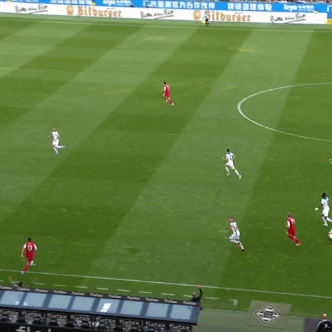 1 Fc Cologne Football GIF by 1. FC Köln