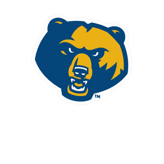 Victory Win Sticker by WVU Tech Golden Bears