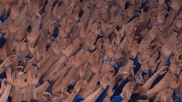 Game Day Applause GIF by FC Schalke 04