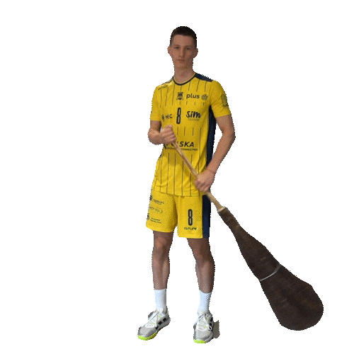 PSG Stal Nysa Sticker