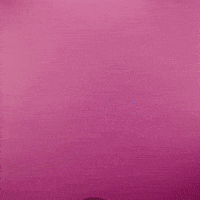 Saturday Morning Flower GIF by GIPHY Studios Originals