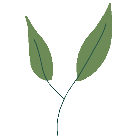 Leaf Hojas Sticker