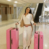 Travel Smiling GIF by IndyWindy