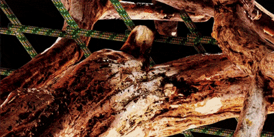 The Mayda Creative Co. GIF