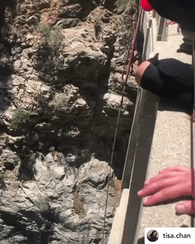 Bungee America GIF