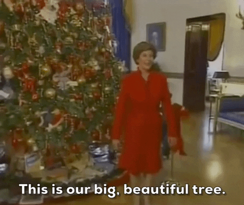 House-christmas-decorations GIFs - Get the best GIF on GIPHY