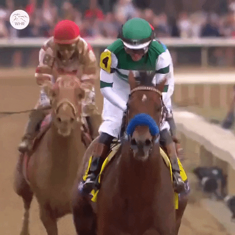 Breeders Cup Celebration GIF by World Horse Racing