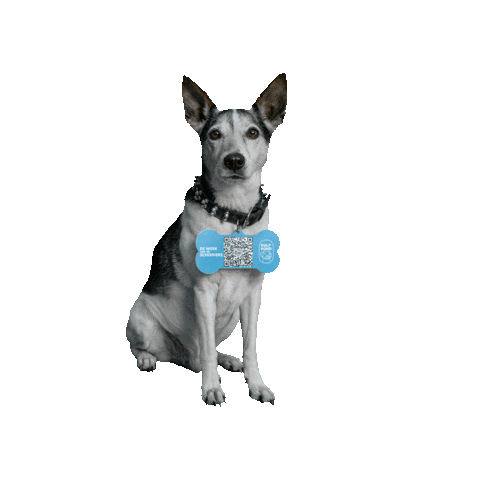 Hulphond Nederland Sticker