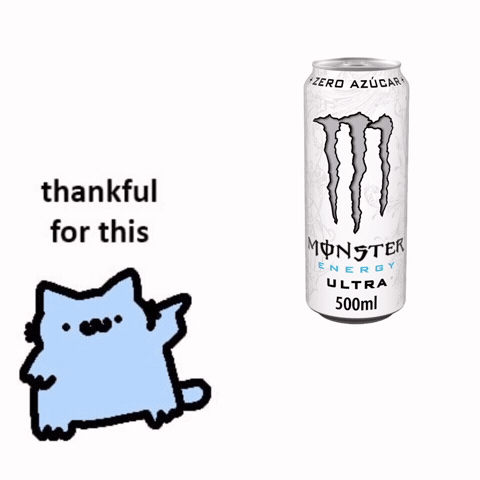 Spainnubcat GIF