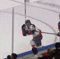 Whl GIF