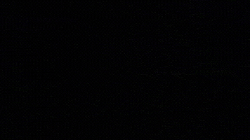 Weds GIF