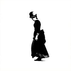 Cat Jumping GIF by FlipBooKit