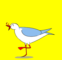 photo Seagull Clipart Gif seagull gifs get the best gif on giphy