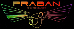 Eagle Turbo GIF by PRABAN Performance