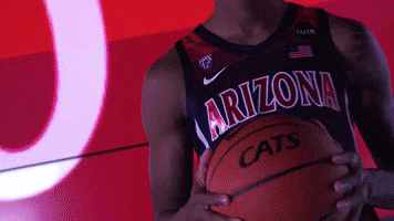 Arizona Wildcats GIF by Arizona Men's Basketball
