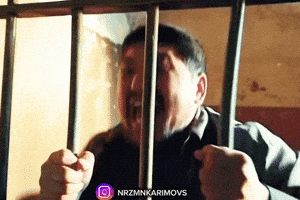 Emil GIF by Customize iT