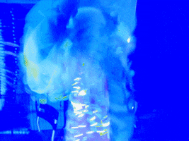 Greenhouse GIF