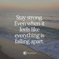 Beach Quote GIF by Power of Positivity