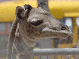 200.gif?cid=790b76115cf9cb554157683236fb6da4&rid=200.gif