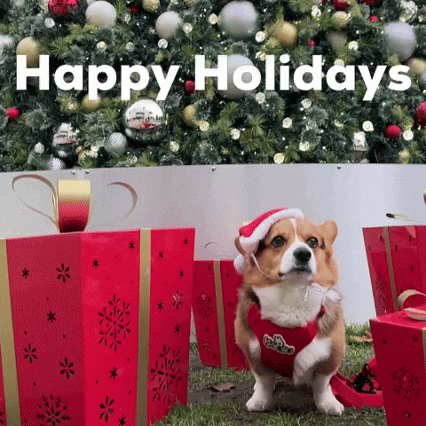 Dog Christmas GIF