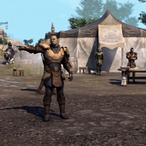 Elder Scrolls Online Camp GIF by Bethesda