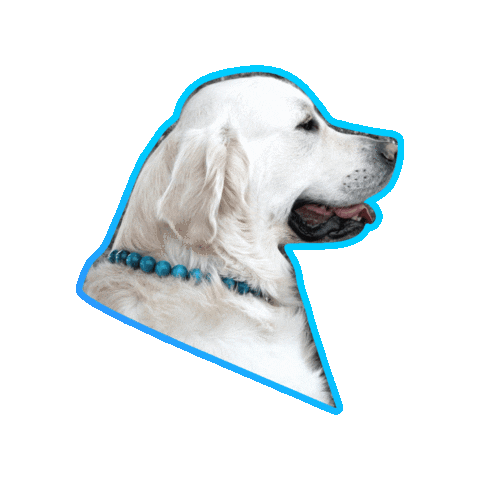 Happydog Retriever Sticker by CollarCrafts