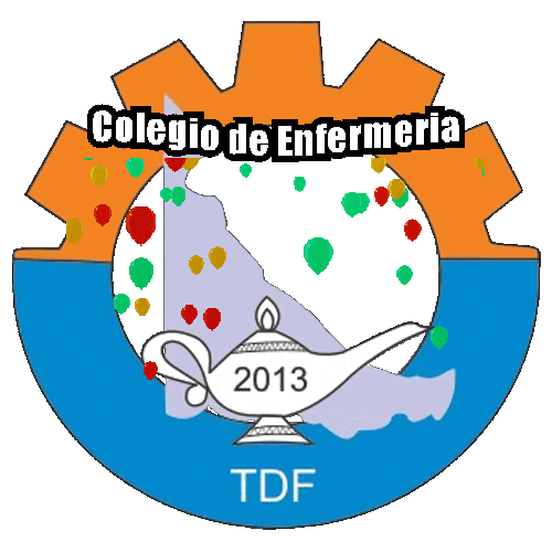 Colegio De Enfermeria Sticker