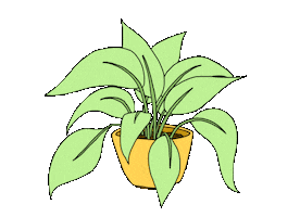 Summer Illustration Sticker