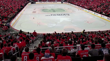 stanley cup nhl GIF