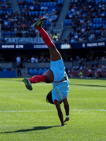 Womens Soccer Celebration GIF by Chicago Stars FC