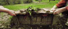 Box Slime GIF