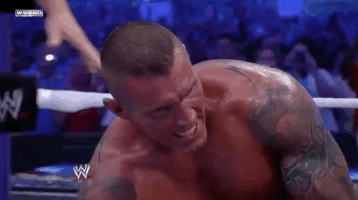Randy Orton Sport GIF by WWE