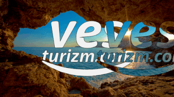 Travel Tour GIF