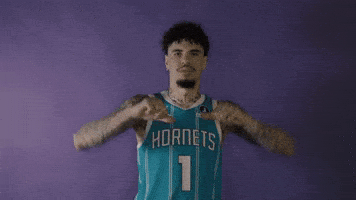 Lamelo Ball Basketball GIF by Charlotte Hornets