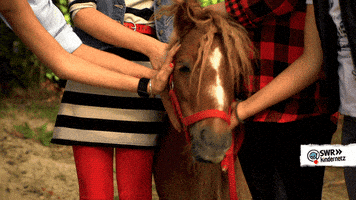 Happy Tiere Bis Unters Dach GIF by SWR Kindernetz