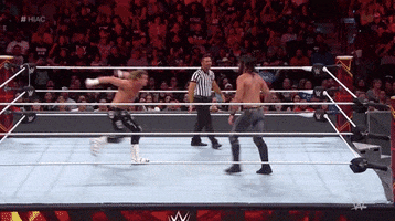 seth rollins sport GIF by WWE