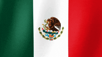 Viva Mexico Heart GIF