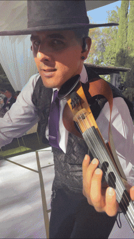 HatManOficial violin Guiño hatman GIF