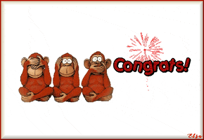 Congrats Animated Card GIF