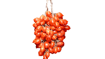 Consorzio di tutela Pomodorino del Piennolo del Vesuvio DOP Sticker