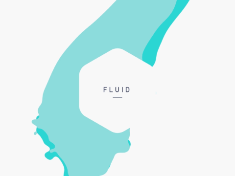 fluid