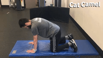 Animated GIF