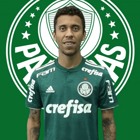 tamo junto toca ai GIF by SE Palmeiras