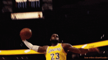 Dunk GIF