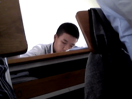 tet  GIF
