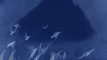 Sylvia Earle Animation GIF