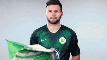 renato steffen football GIF by VfL Wolfsburg